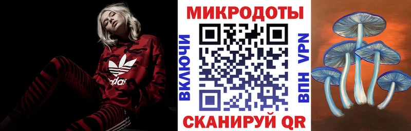 Псилоцибиновые грибы Psilocybe где продают Лаишево